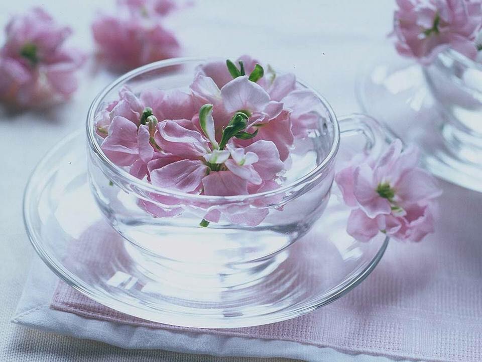 宿命カフェ【満員御礼】